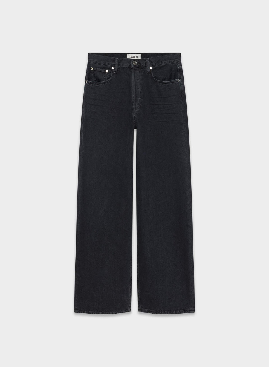 agolde low-slung baggy jean crushed
