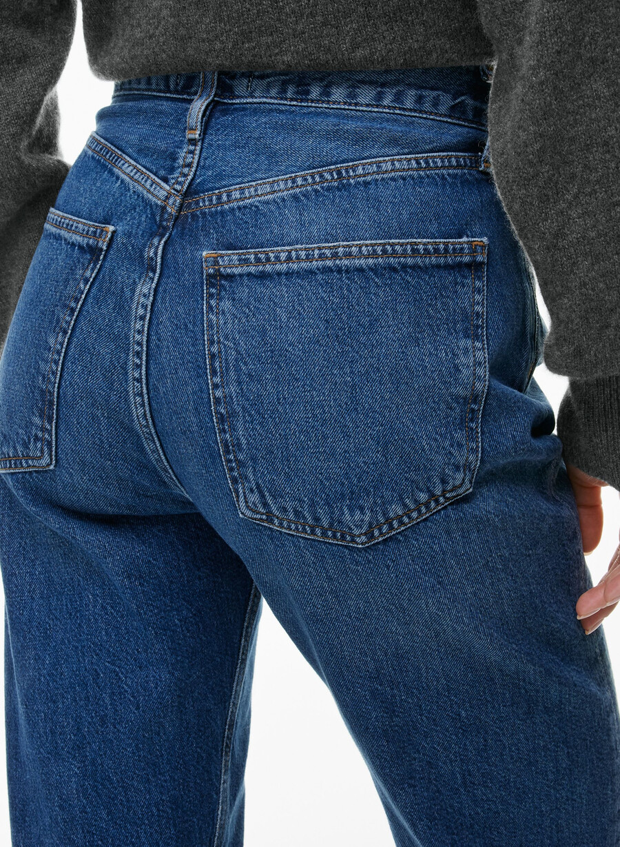agolde 90s pinch waist long jean control