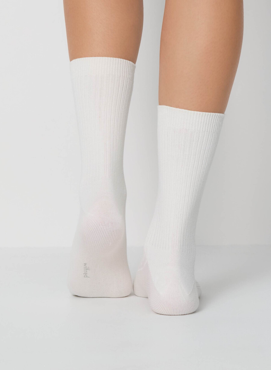 daily crew sock 3-pack light birch