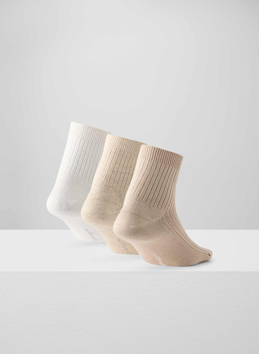 daily ankle sock 3-pack htr ecrmcn bglt brch