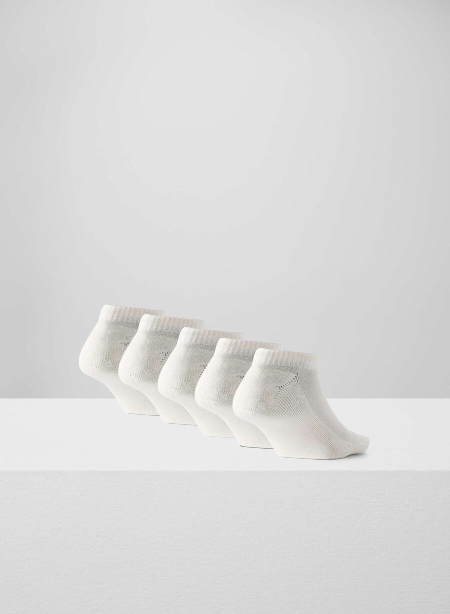 best-ever no-show sock 5-pack light birch