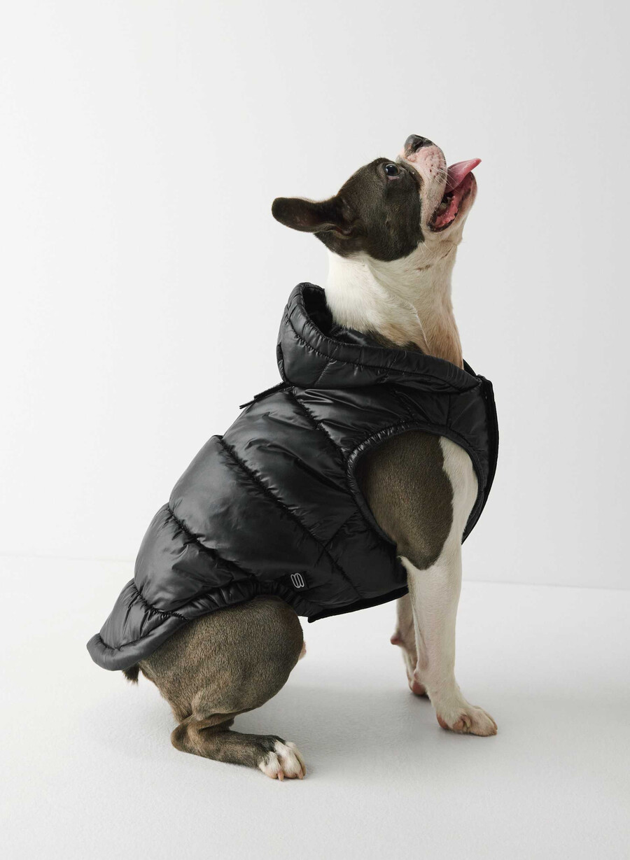 the super ruff puff - hi-gloss black