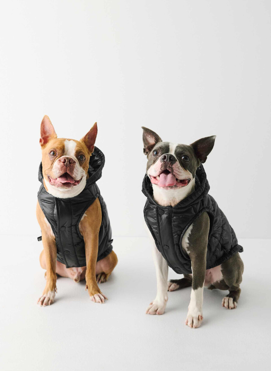 the super ruff puff - hi-gloss black